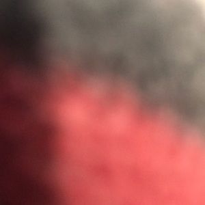 Meet your Posher, Aiden